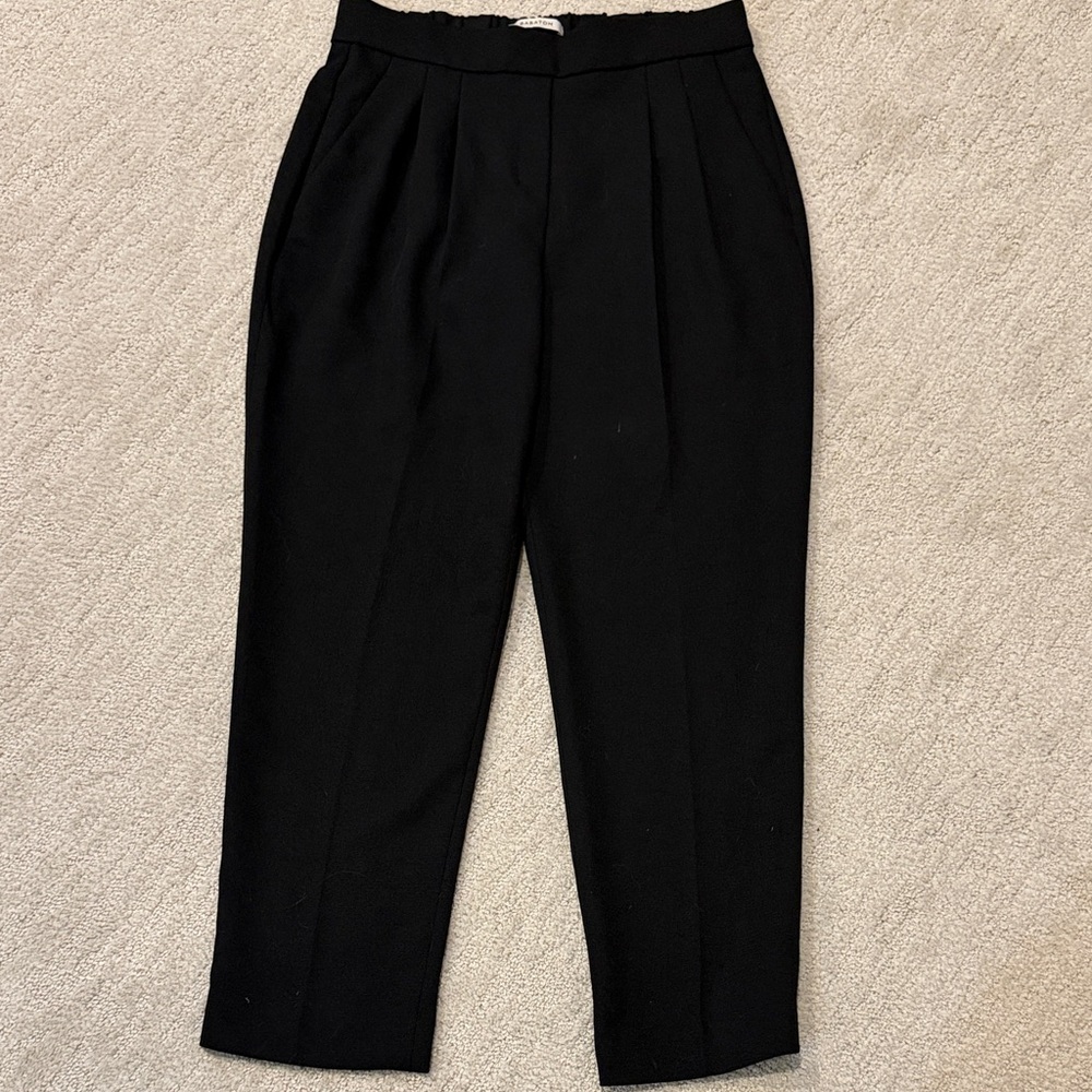 Aritzia Black Pleated/Ankle Dress Pants